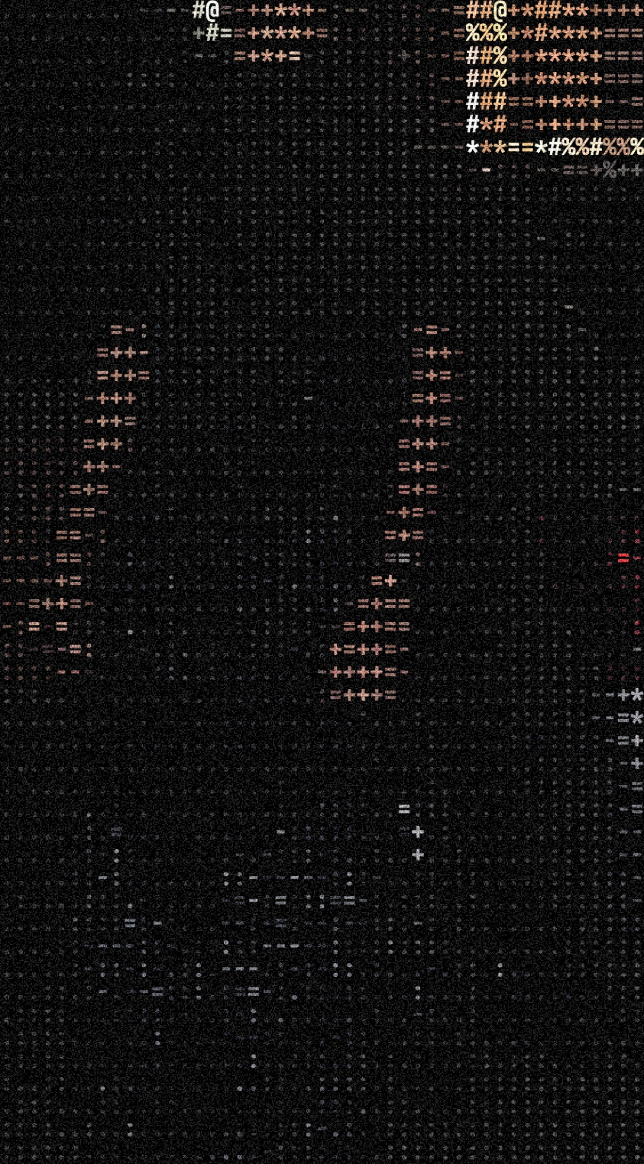 ASCII rendering of the photo