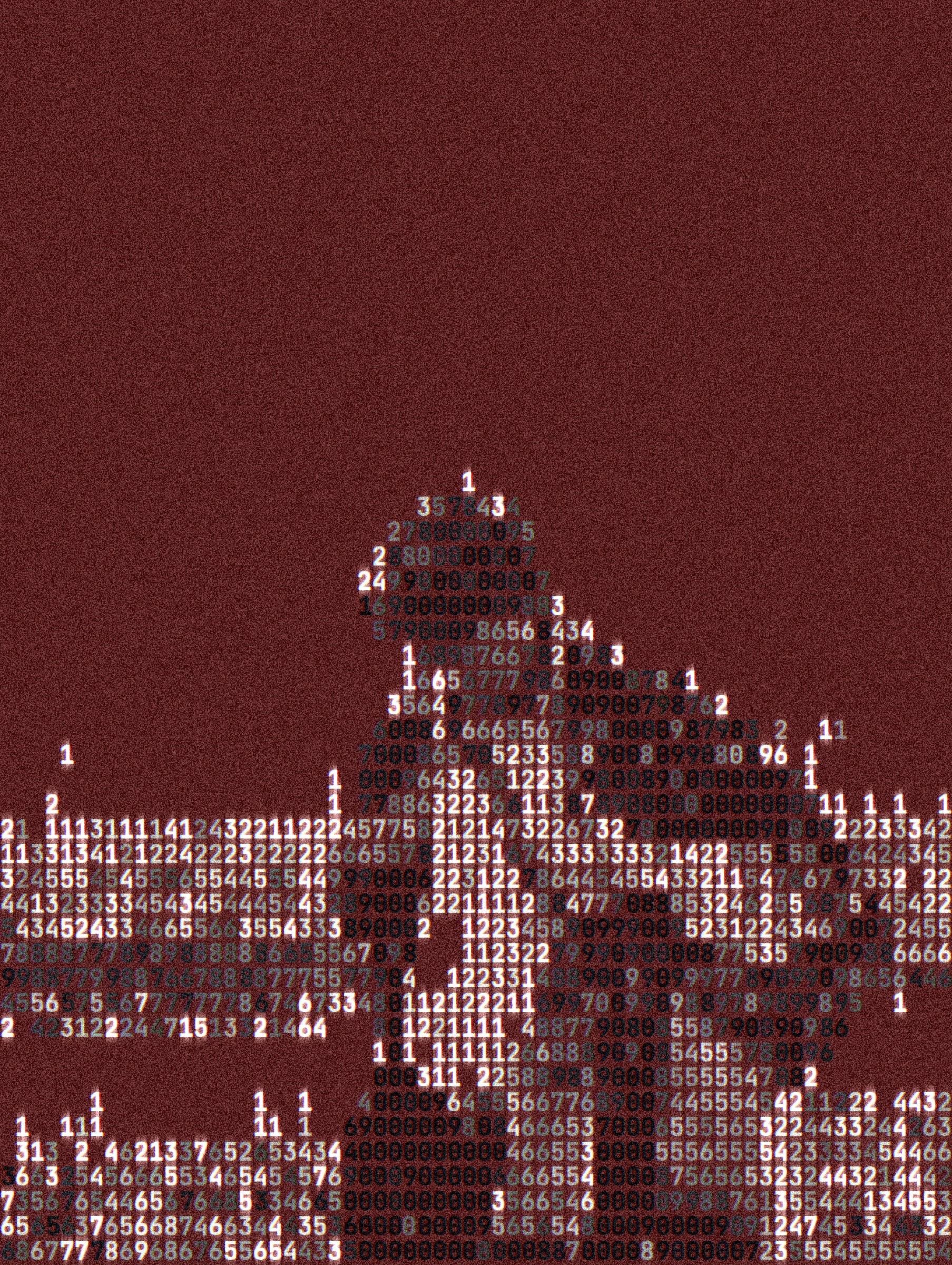 ASCII rendering of the photo